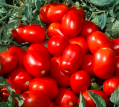 ТОМАТ Н0507 F1, NUNHEMS