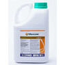 Протруйник Максим 025 FS,  SYNGENTA