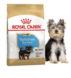 Royal Canin Yorkshire Terrier Puppy - сухий корм для цуценят йоркширських тер'єрів (від 2 до 10 місяців) 500г