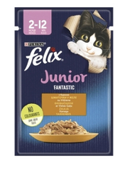 Felix Fantastic Junior з куркою в желе для кошенят