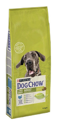 Dog Chow (Дог Чау) Adult Large Breed - Сухий корм з індичкою для дорослих собак великих порід 