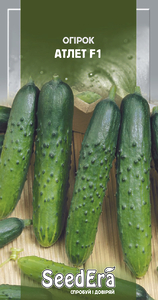Огірок Атлет F1, Seedеra, 10шт