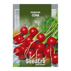 Редиска сора  seedera 2г