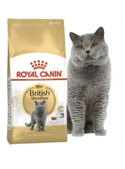 Royal Canin British Shorthair Adult - сухий корм для дорослих котів породи британська короткошерста (від 12 місяців)