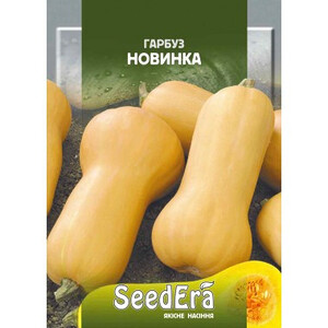 Гарбуз НОВИНКА SeedEra, 20 г