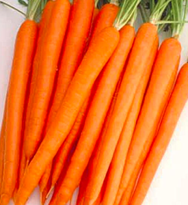 Морква Апперкат 100.000шт