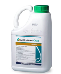 Протруйник Дивіденд Стар 5л
