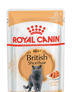 Royal Canin British Shorthair Adult