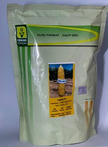 КУКУРУДЗА Гюнес F1, Yuksel Seeds   1 кг