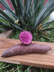 Фіолетовий батат 2кг сітка