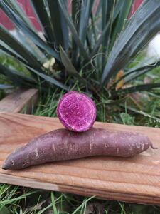 Фіолетовий батат 2кг сітка