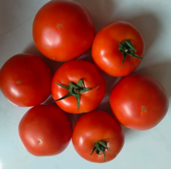 Томат Геліказ F1 500шт