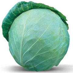 Капуста Хонка F1