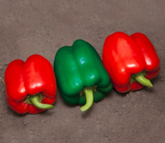 Перець Катан KS 04 F1