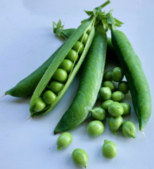 Горох Кінгсайз