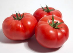 Томат KS 1157 F1