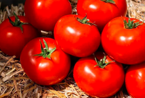 Томат Манамі KS 21 F1