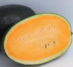 Кавун KS 250 F1