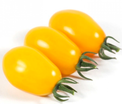 Томат черрі KS 3690 F1