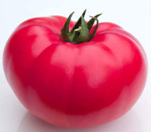 Томат KS 3811 F1