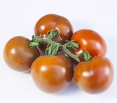 Томат KS 3900 F1