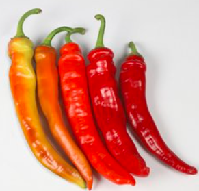 Перець гіркий КС 6215 F1