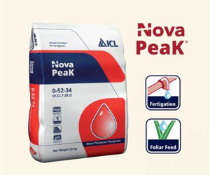 Монокалійфосфат MKP 0-52-34 Nova PeaK, 25 кг ICL Ізраїль 