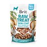 Ласощі для собак Brit Raw Treat freeze-dried Skin and Coat для шкіри та шерсті, риба і курка, 40 г