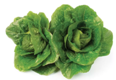 Ромено салат Максимус