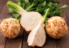 Селера коренева Маркіз