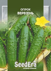 Огірок Вересень