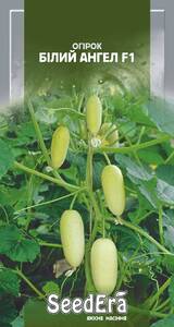 Огірок Білий Ангел F1 SeedEra 0,5г