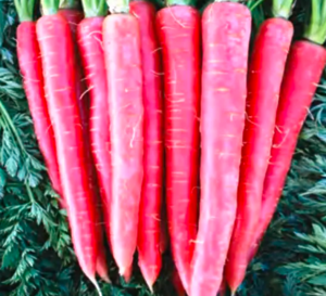 Морква Рубіквін F1  100.000шт