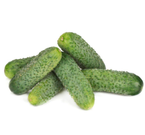 Огірок Сатомі F1 KS 84 F1