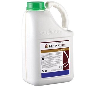 Протруйник Селест Топ 312.5 FS, ТН 5л, SYNGENTA