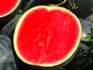 Кавун Стайл F1