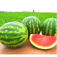 *КАВУН Топган F1, SYNGENTA 10шт