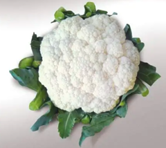 Цвітна капуста Ванза F1