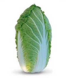 Капуста пекінська Яморі F1