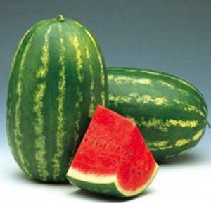 Розсада кавуна Фарао (касетна)