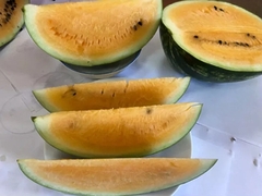 Розсада кавуна Оранж Лакшері (касетна)