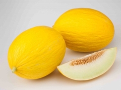 Розсада дині Сан Канарія (касетна)