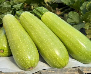 Кабачок Інесса F1 | Inessa F1 (500 насінин)