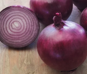 Цибуля Таннат F1 | Tannat F1 (250 000 насінин)