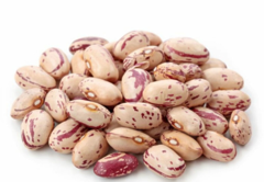 *Квасоля кущова Ластівка 100г