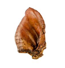 Ласощі для собак вухо свинне сушене 1 шт