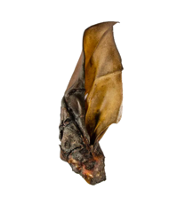 Ласощі для собак вухо яловиче сушене 1шт