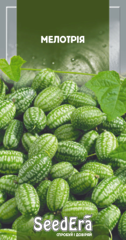 Мелотрія, Seedera, 10шт