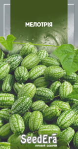 Мелотрія, Seedera, 10шт