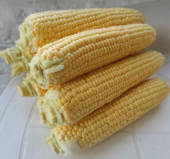 *Кукурудза Зеатон F1 3г(22-25шт)